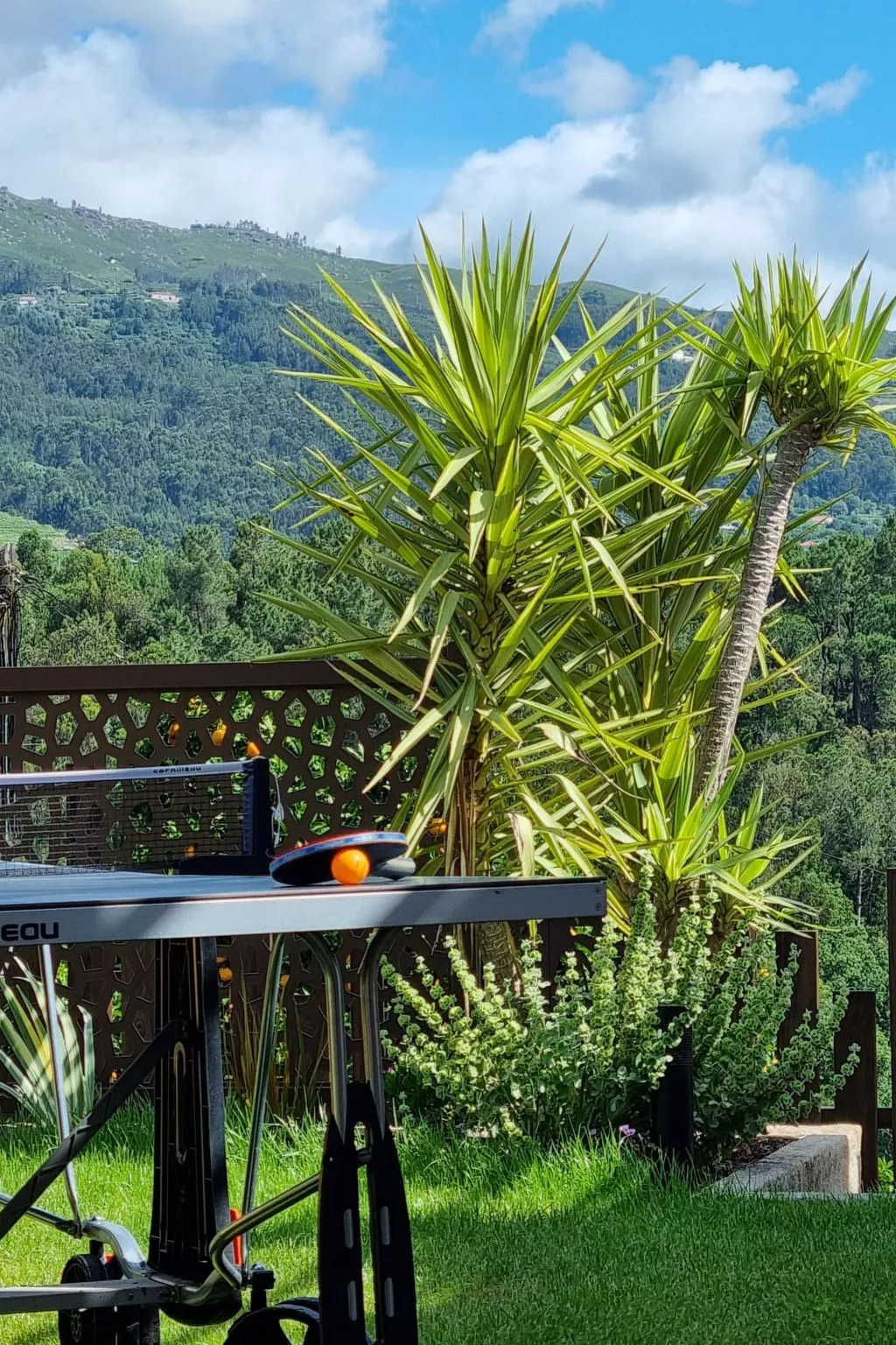 Rio Lima Retreat-Outside