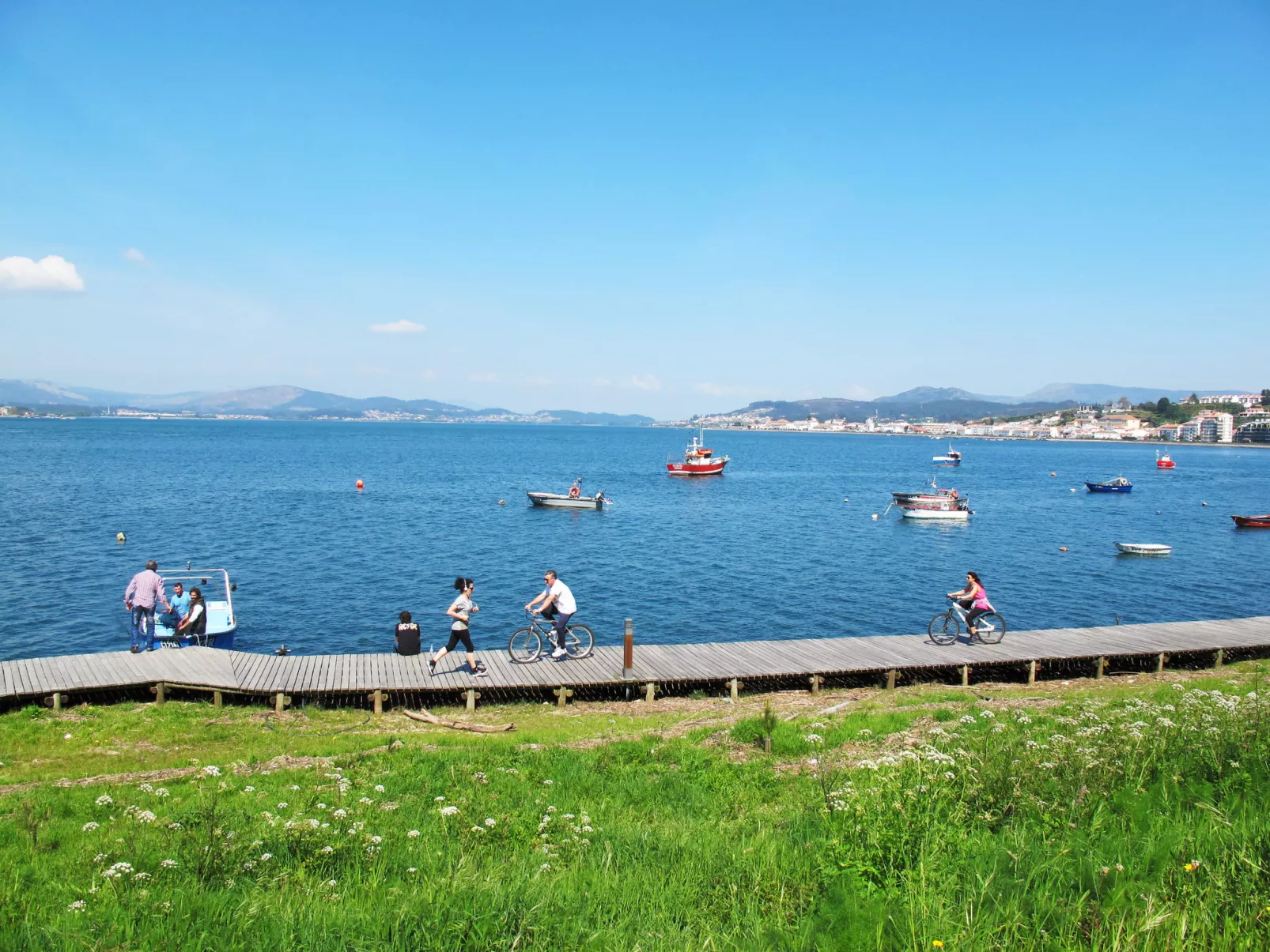 Pedra-Environnement
