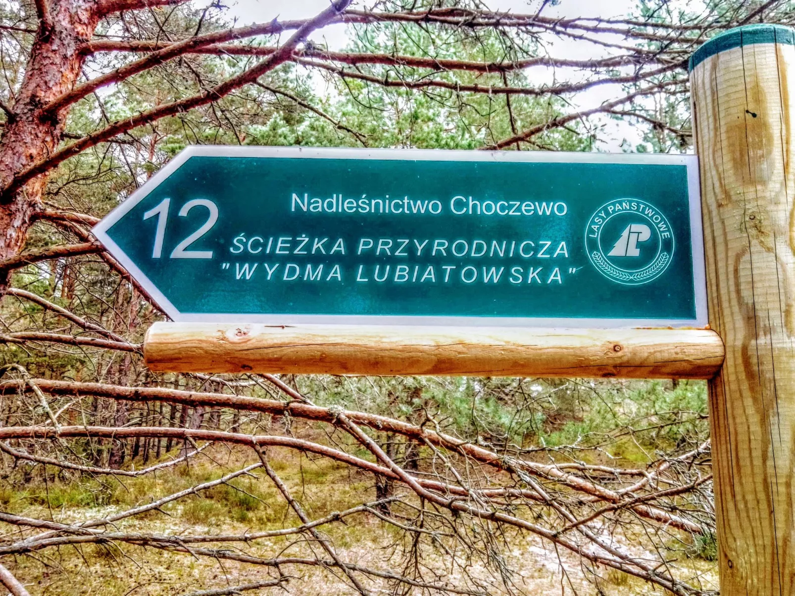 Fala nr 4-Outside