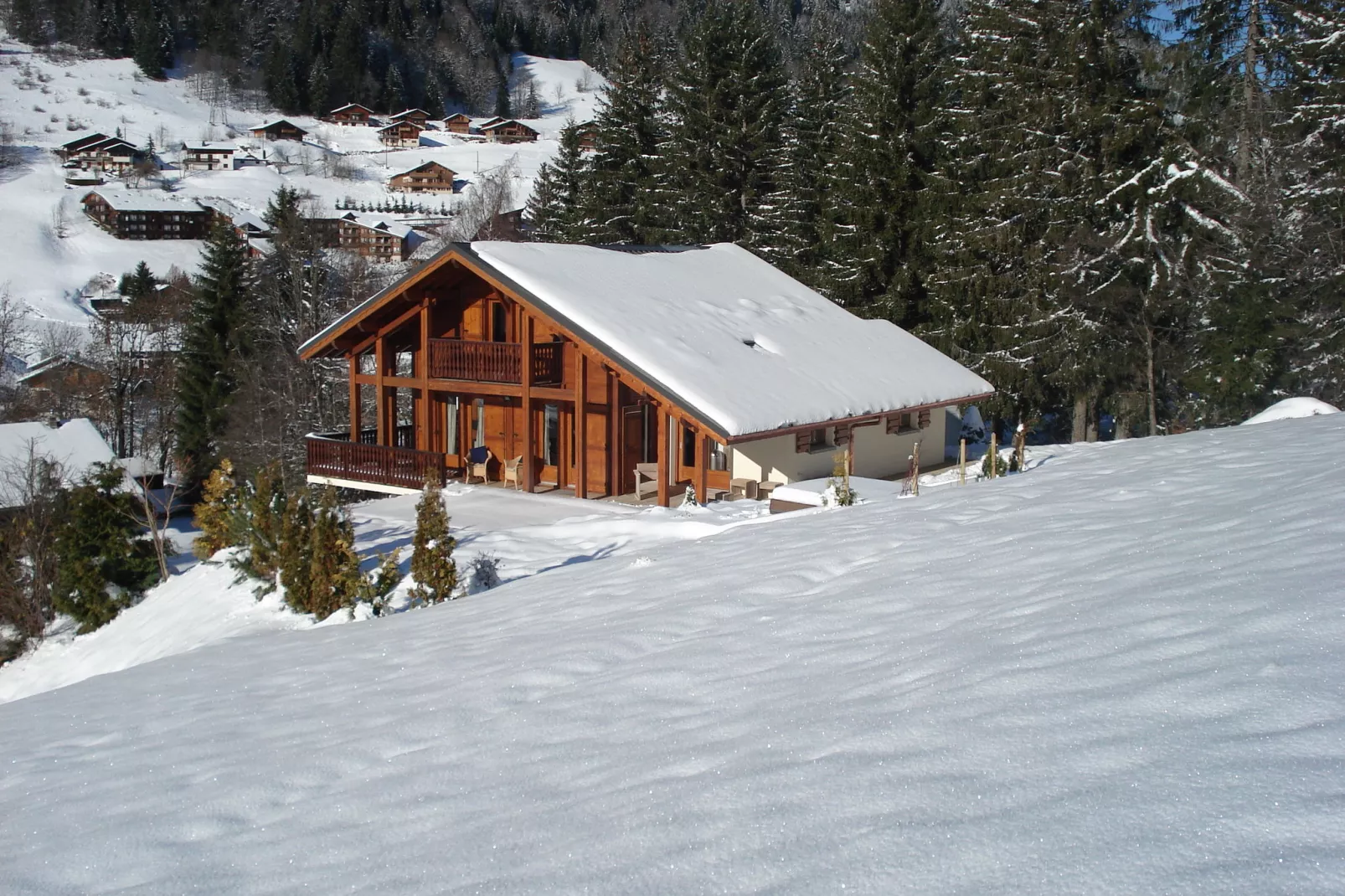 Chalet L'Etoile-Exterior winter