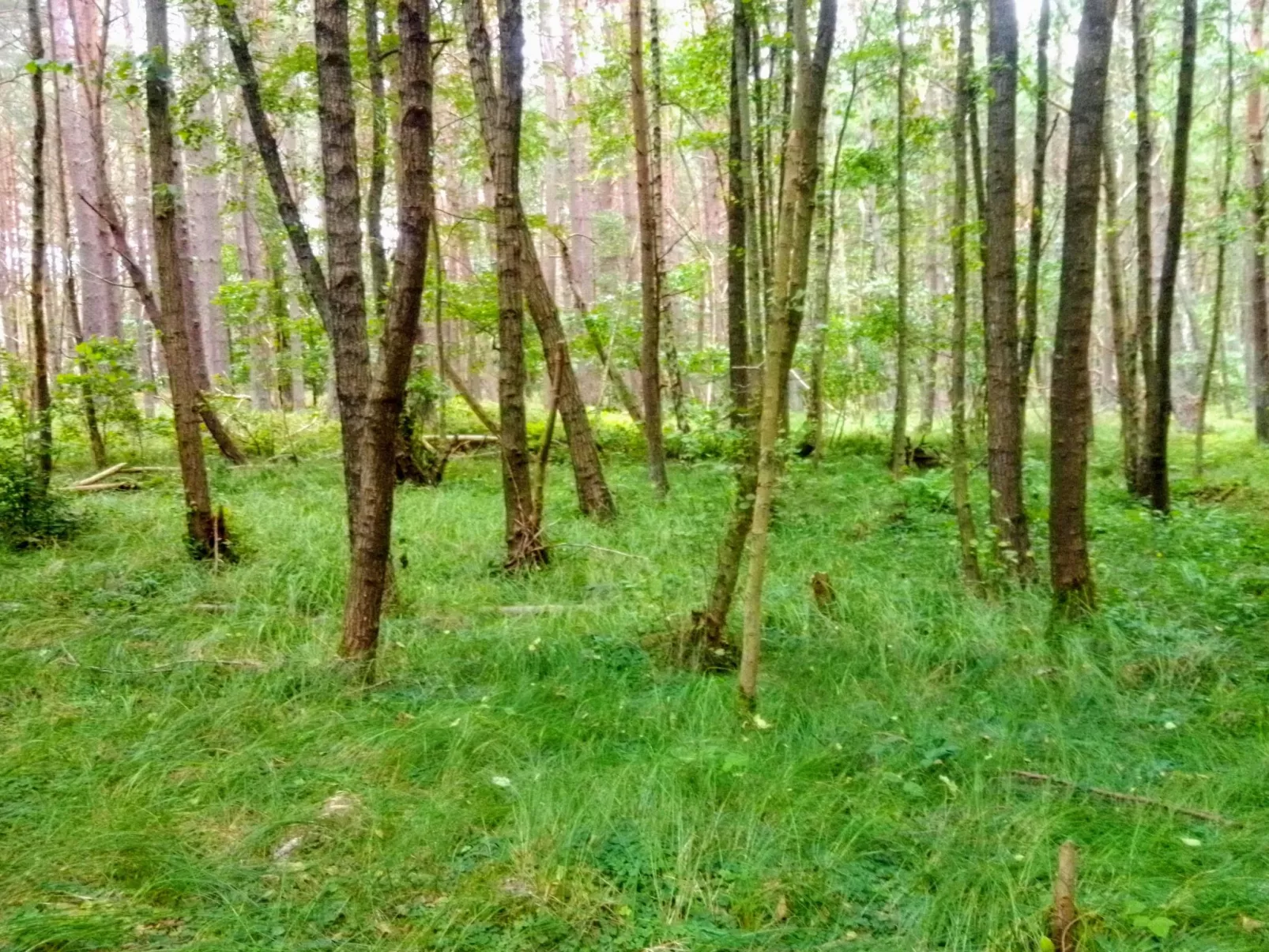 Grażyna-Outside