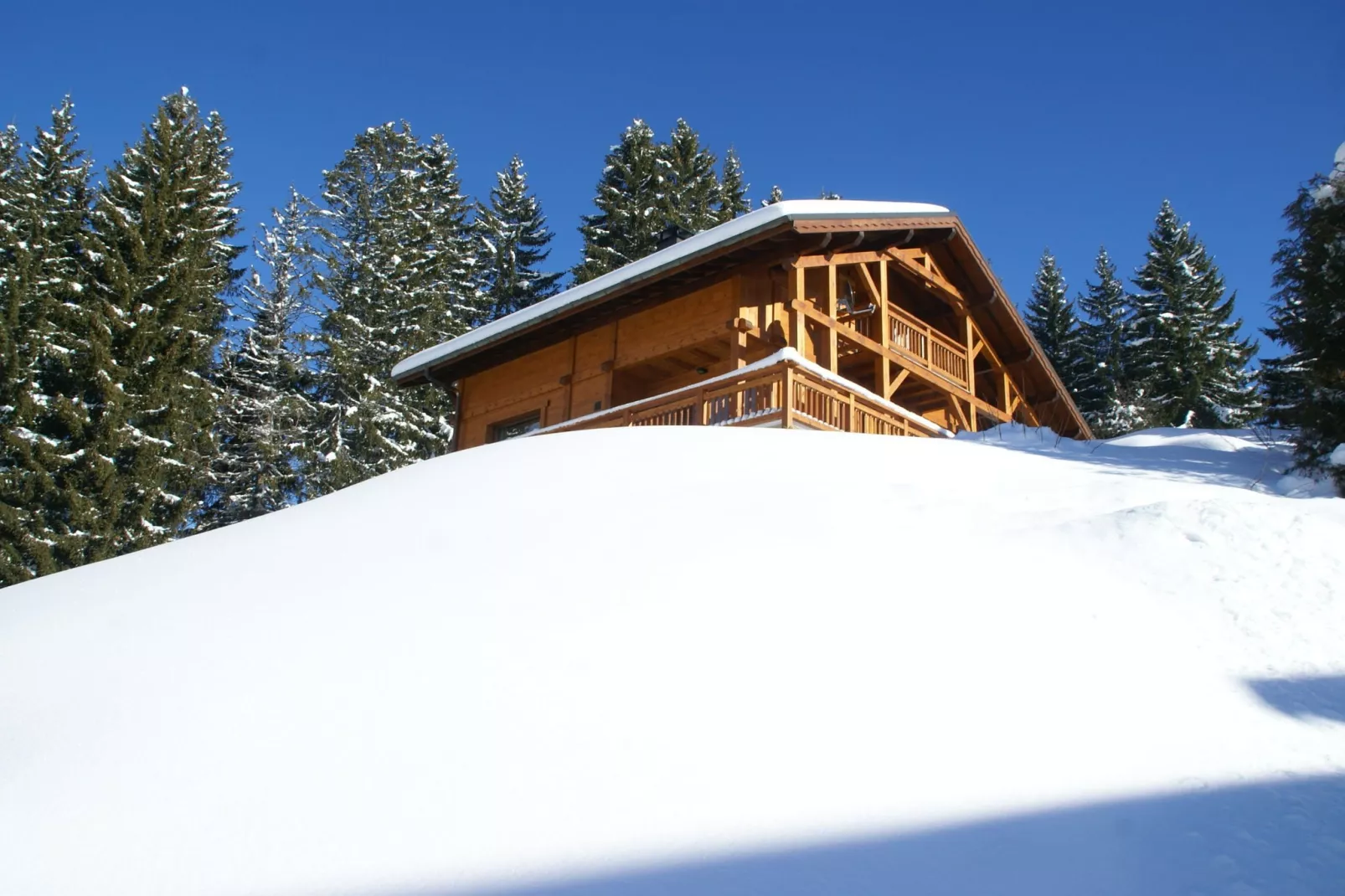 Chalet L'Etoile-Exterior winter