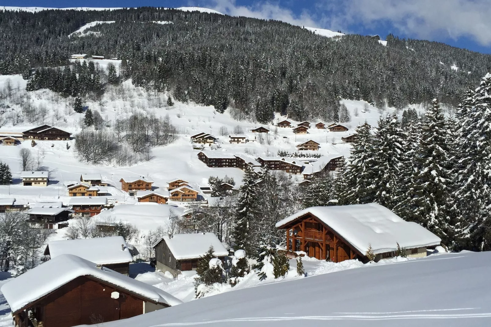 Chalet L'Etoile-Exterior winter