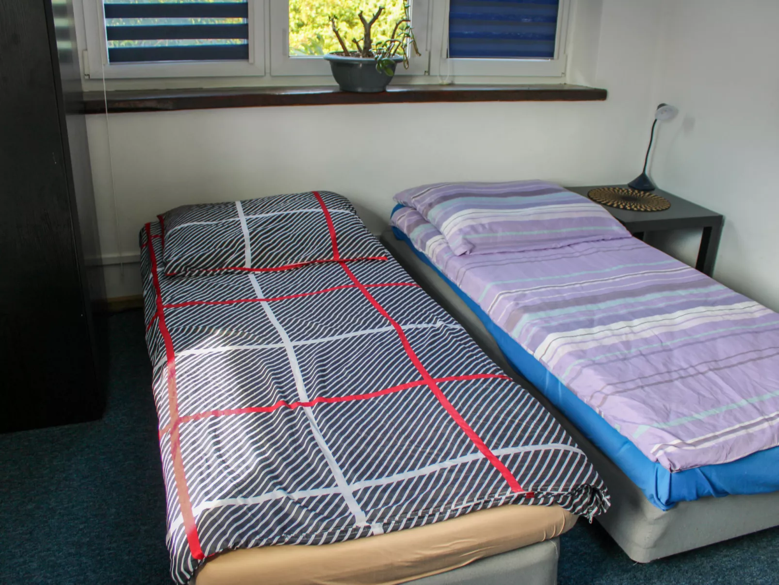 Parkowa apartament