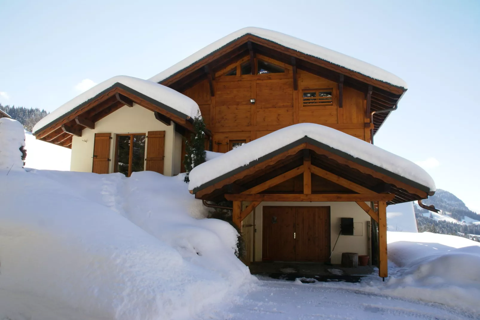 Chalet L'Etoile-Exterior winter