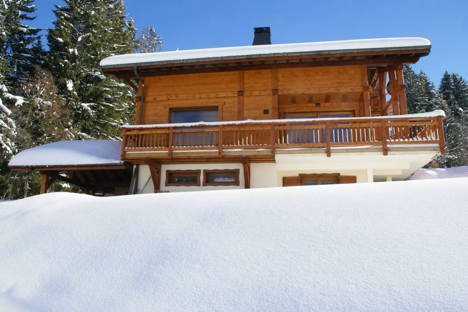 Chalet L'Etoile-Exterior winter
