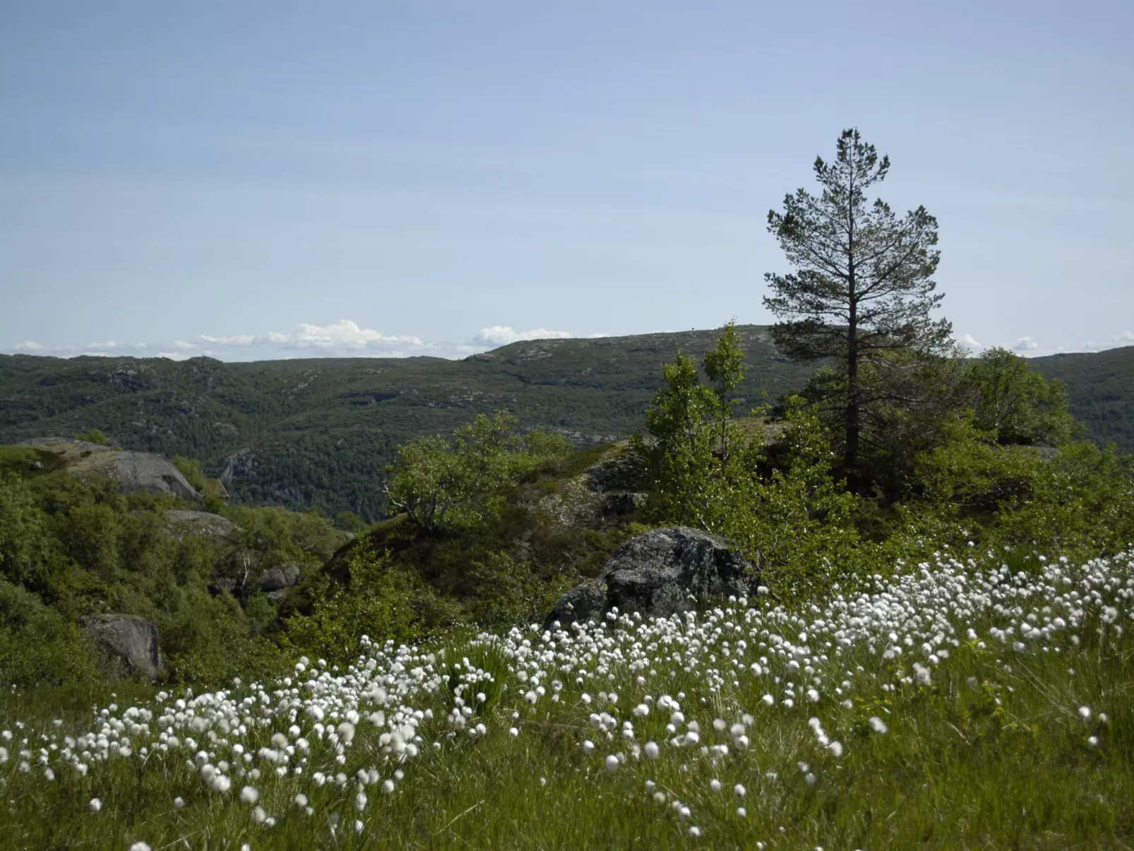 Ørnefjell-Outside