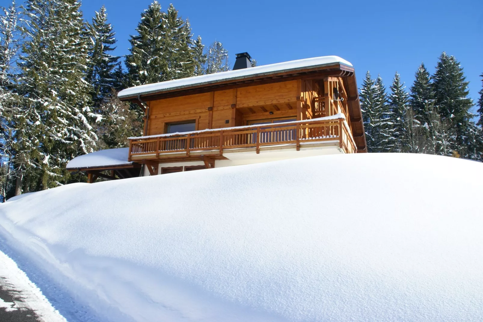 Chalet L'Etoile-Exterior winter