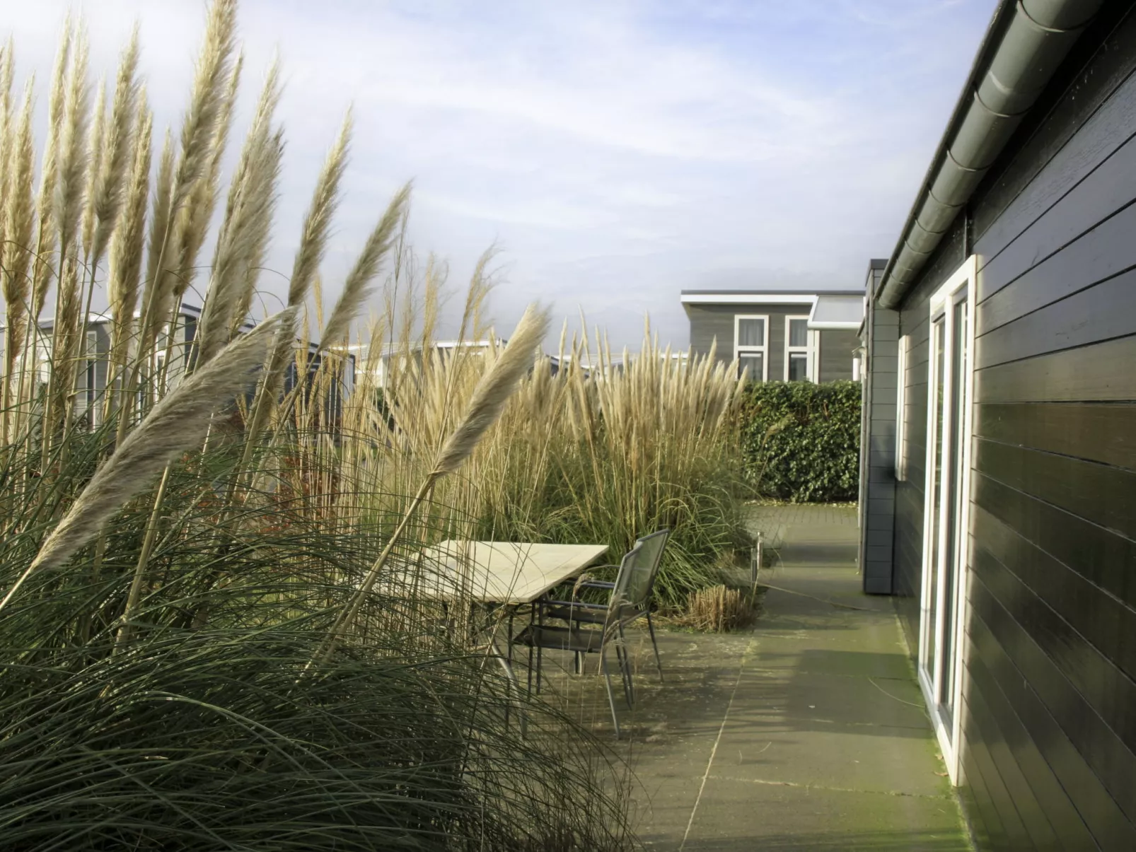 Vakantiehuis Ruisweg 32-Draußen