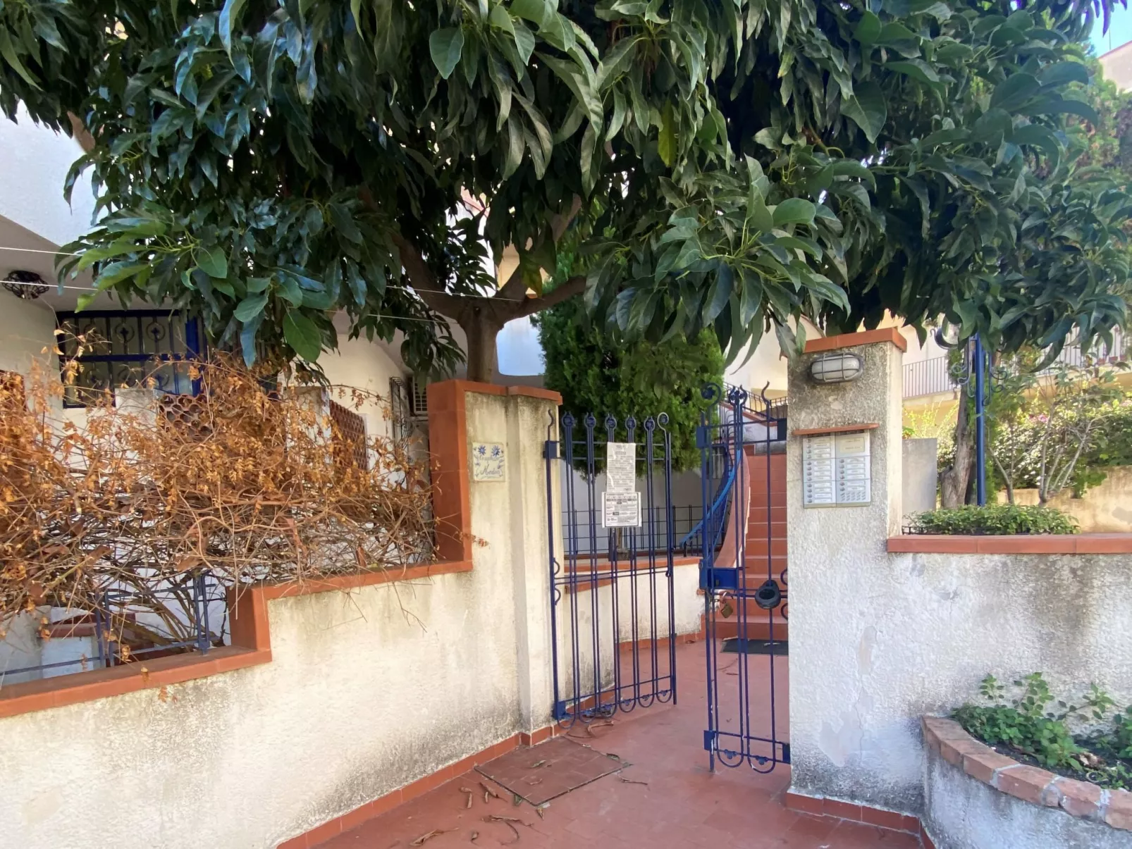 Atena-Outside