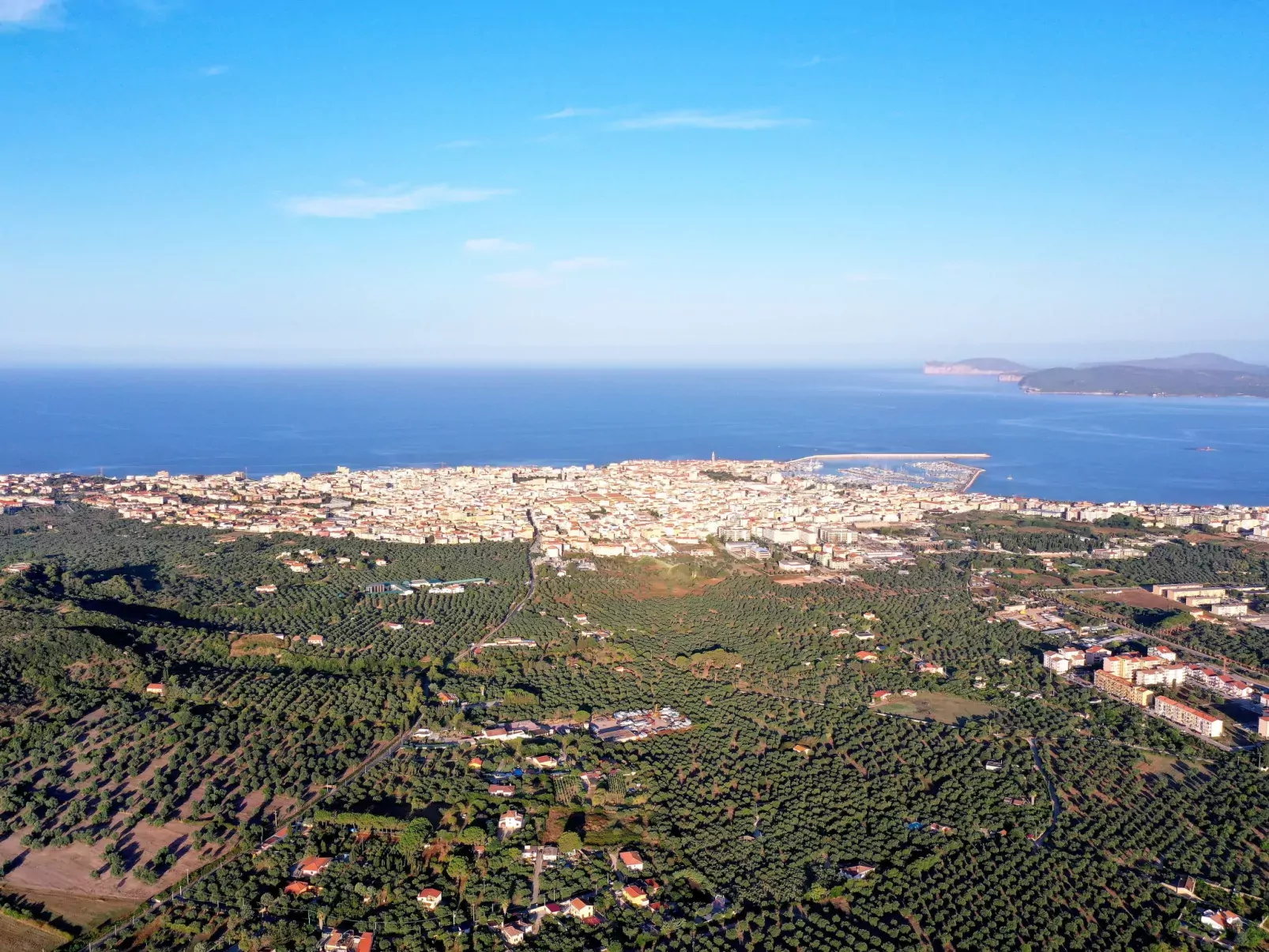 Camping Village Laguna Blu-Area