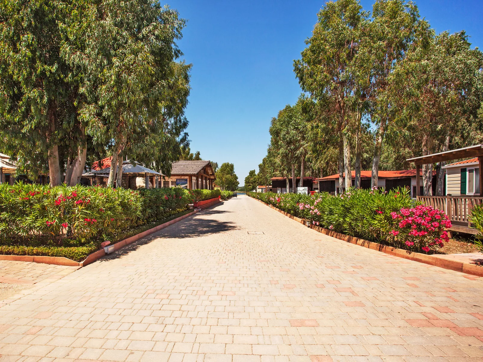 Camping Village Laguna Blu-Outside