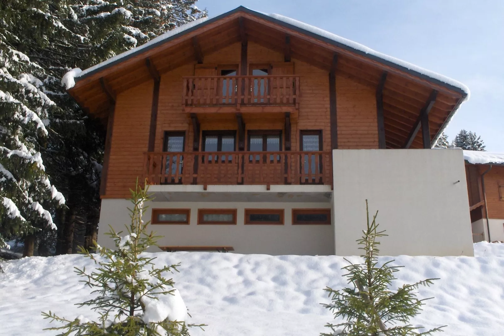 Chalet Sherwood Forest-Exterior winter
