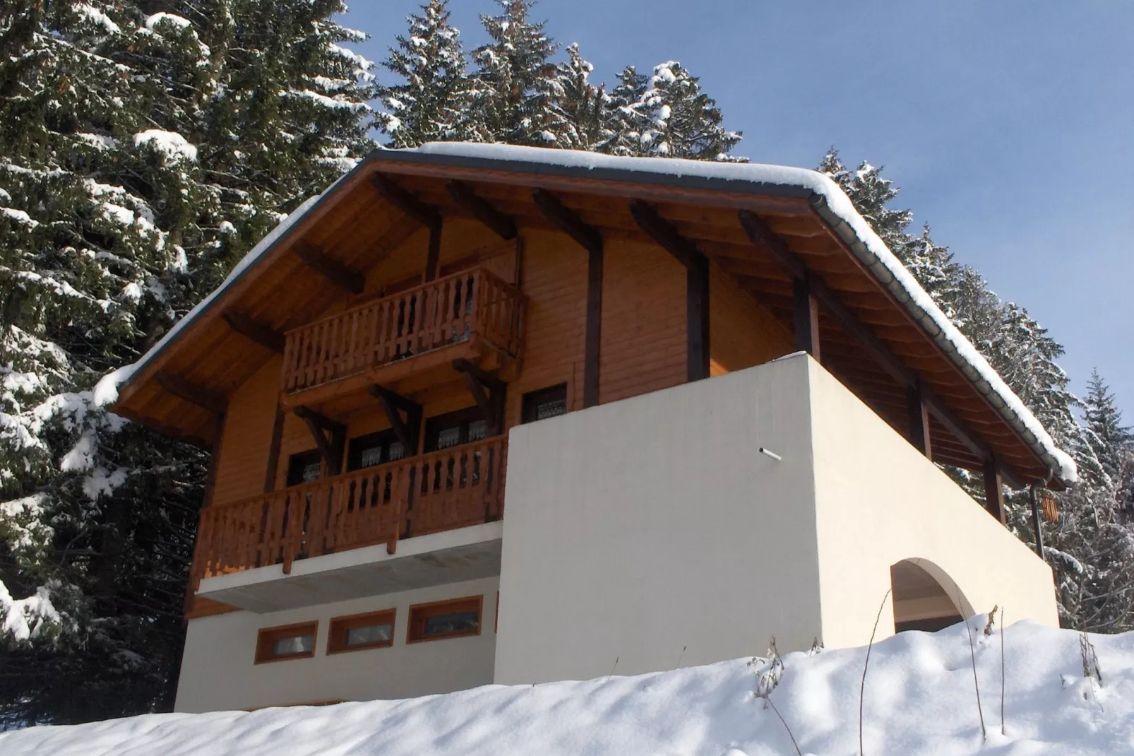 Chalet Sherwood Forest-Exterior winter