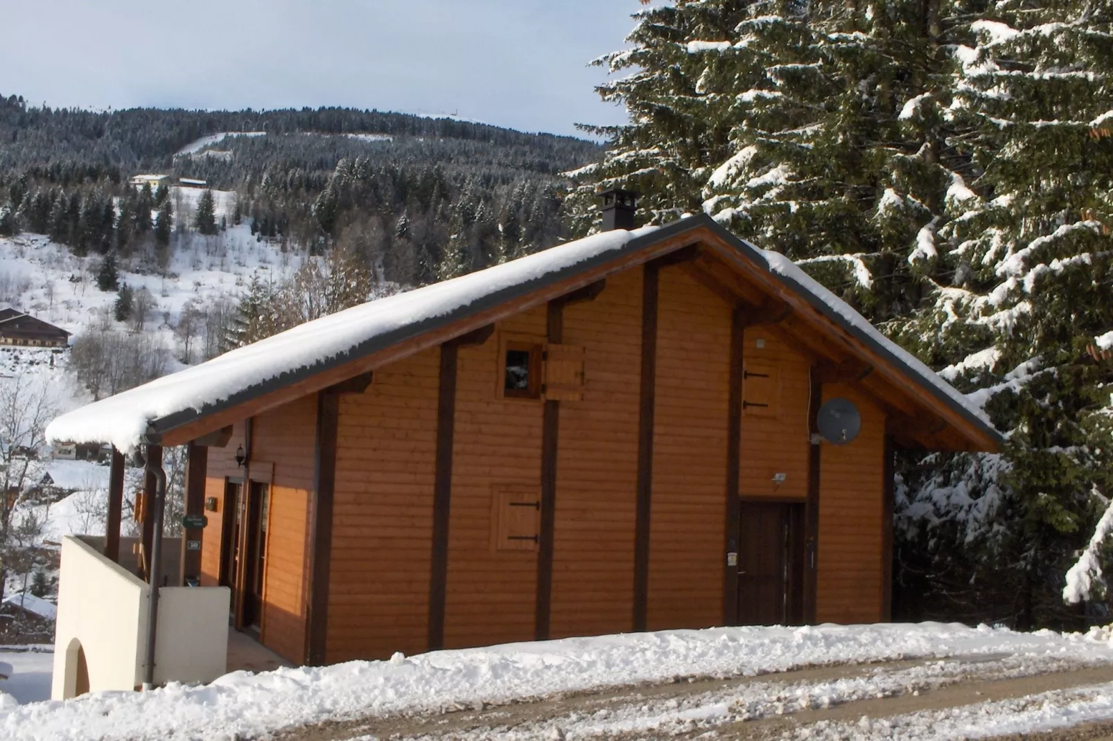 Chalet Sherwood Forest-Exterior winter