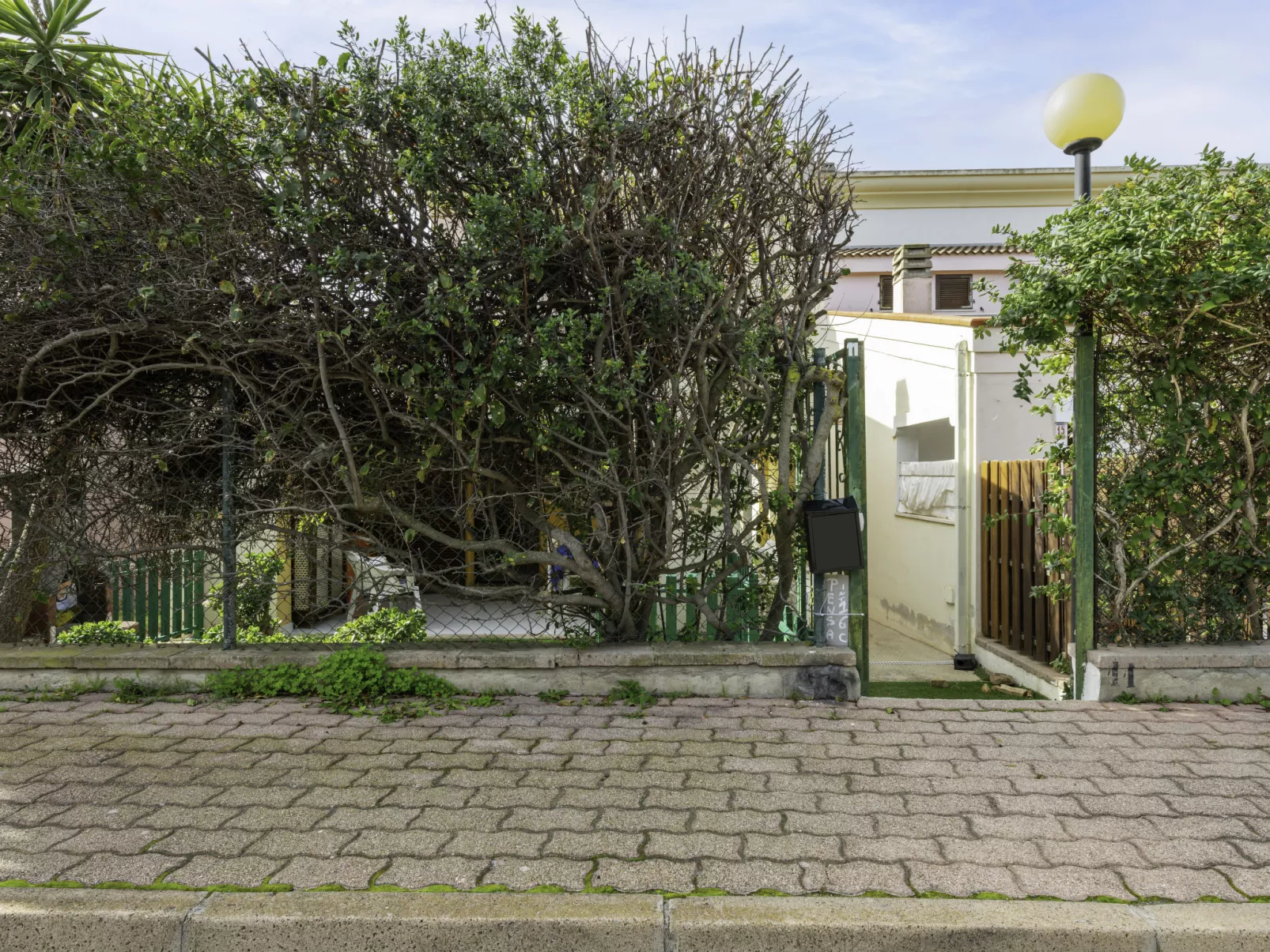 Bouganville-Outside