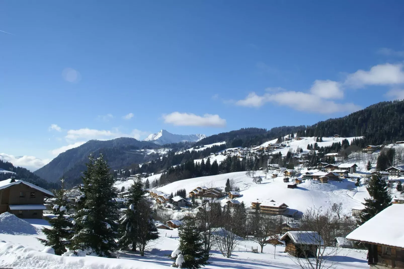 Chalet Sherwood Forest-View winter