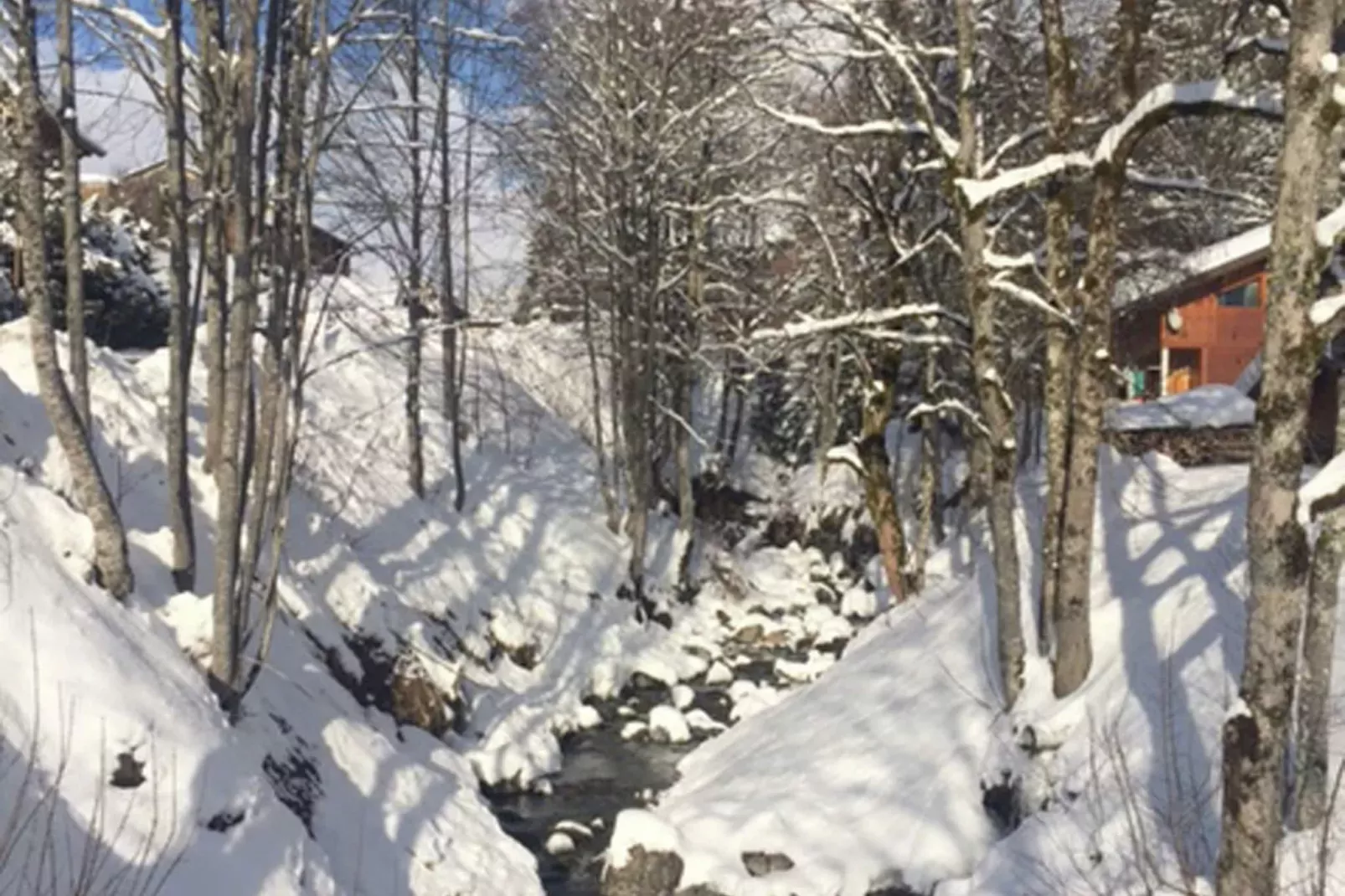 Chalet Sherwood Forest-Area winter 5km