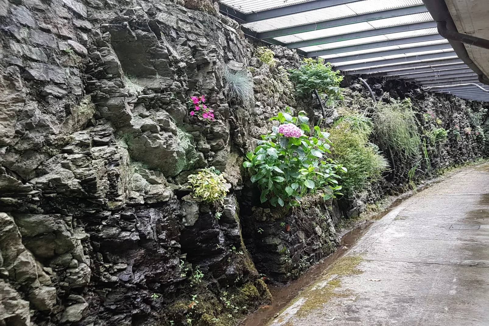 Villa Meraviglia-Ambiente