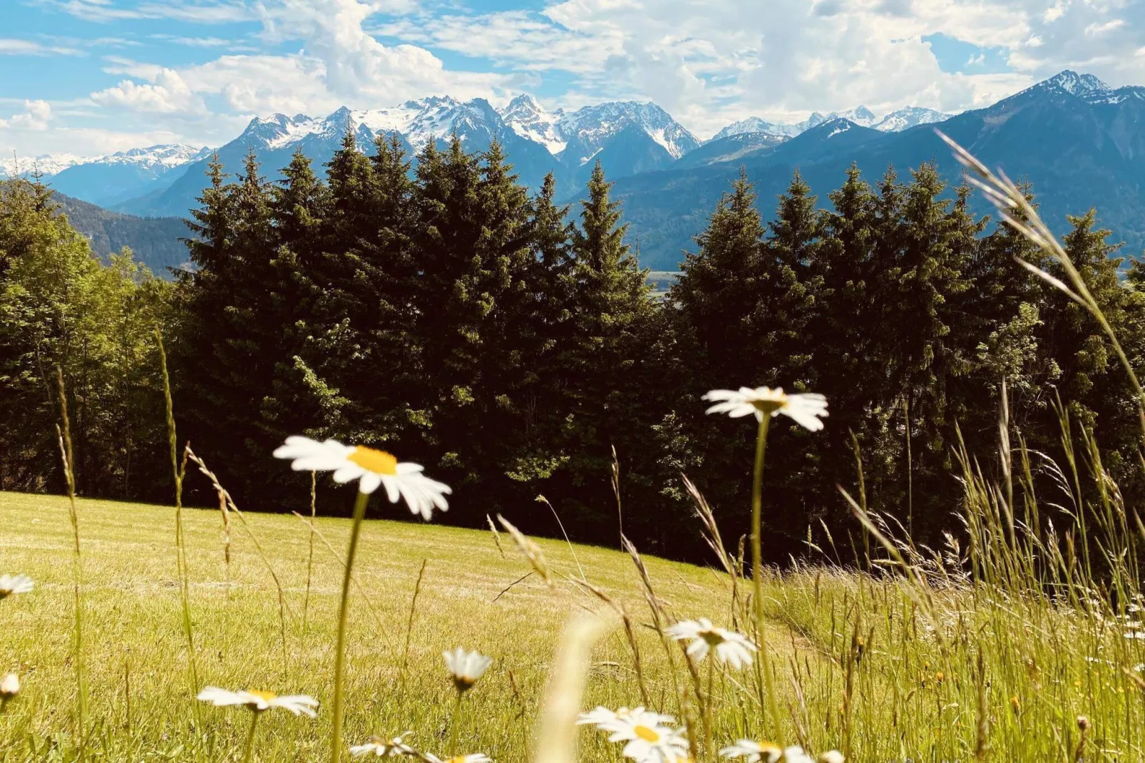 Denise-Gebiete Sommer 20 km