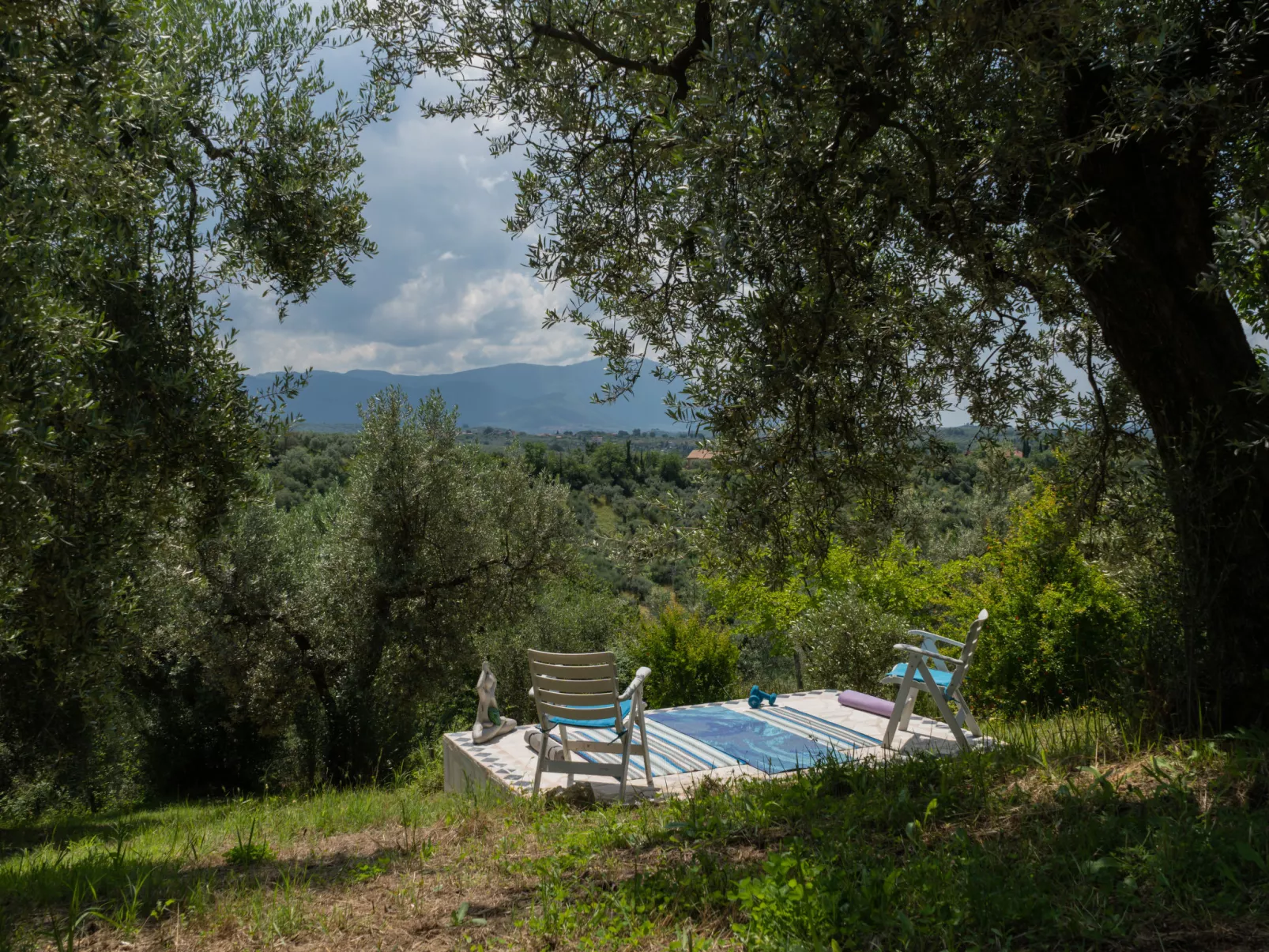 Olive Grove Sabina-Outside