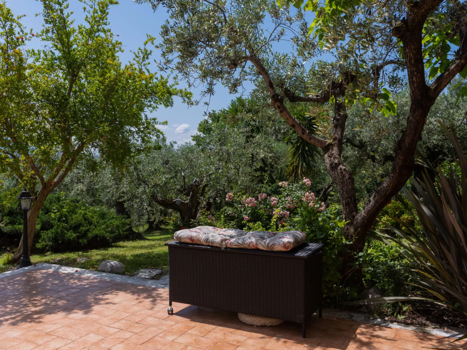 Olive Grove Sabina-Outside