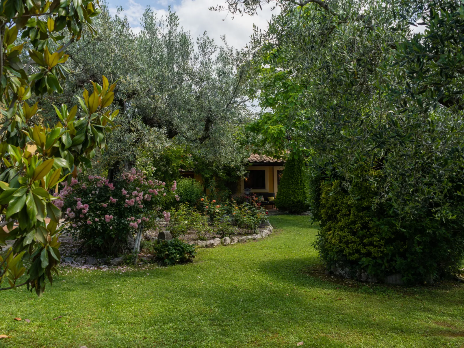 Olive Grove Sabina-Outside