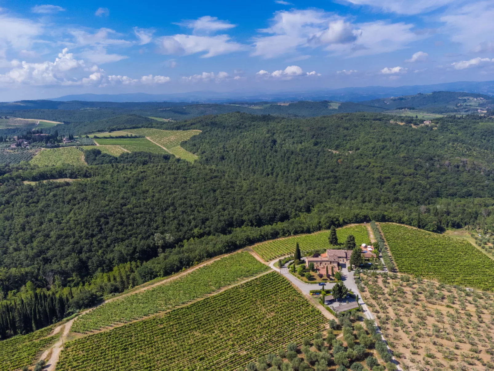 Michelangelo-Drinnen