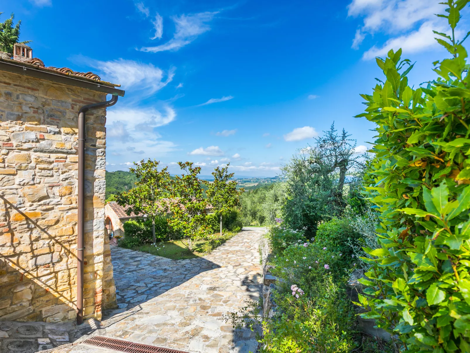 Michelangelo-Draußen