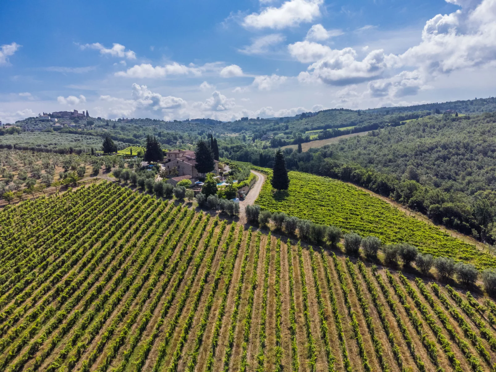 Michelangelo-Draußen