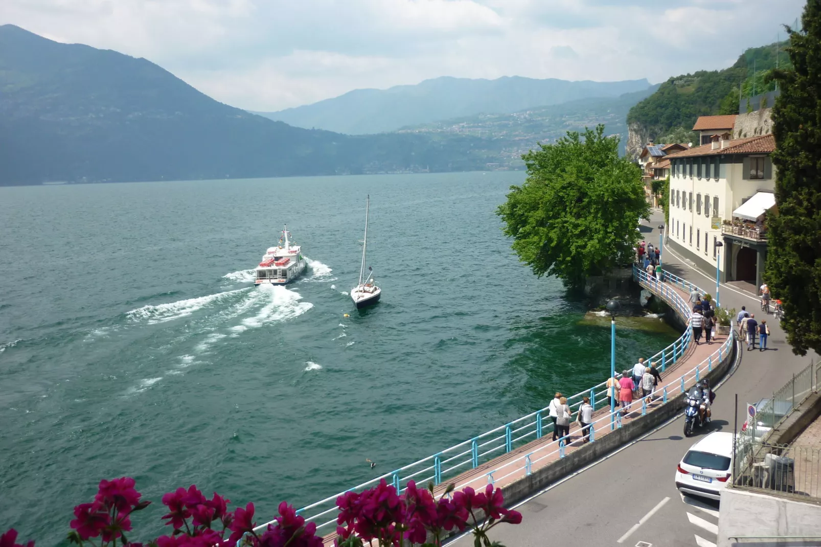 Belvedere-Areas within 1km in summer