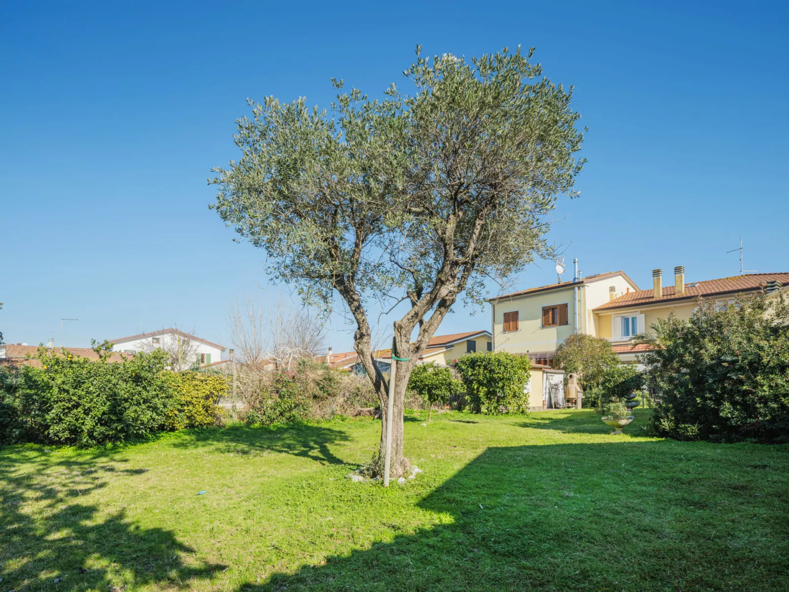 La casa dei limoni di Valeria-Draußen