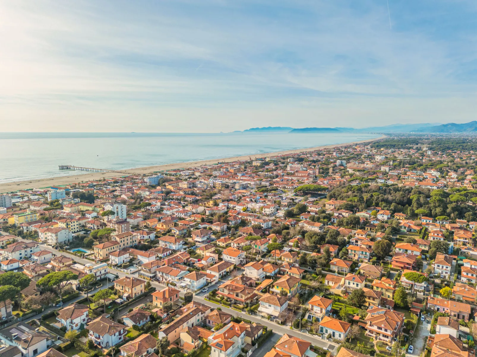 Francesca-Area