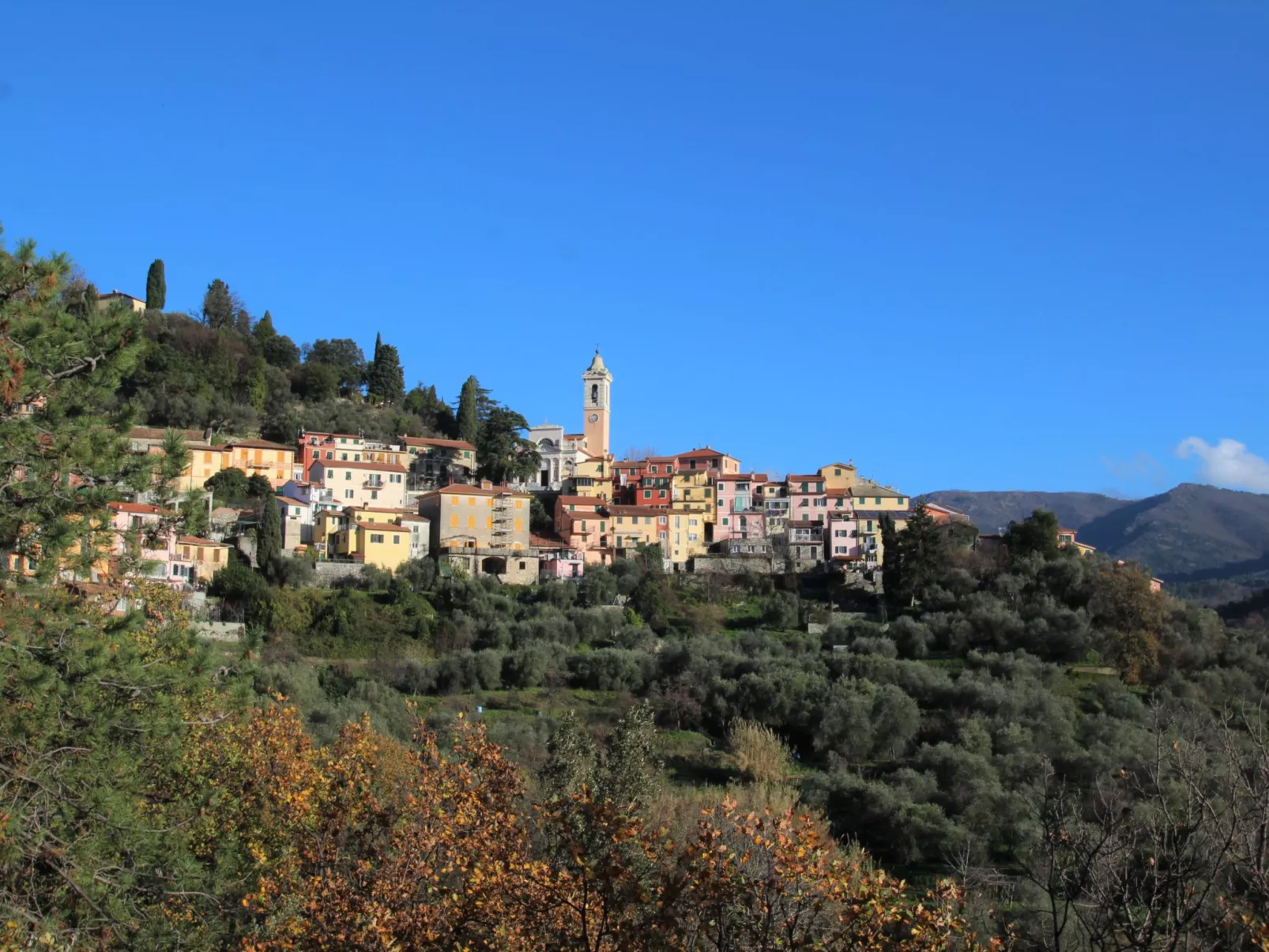 Vermentino-Area
