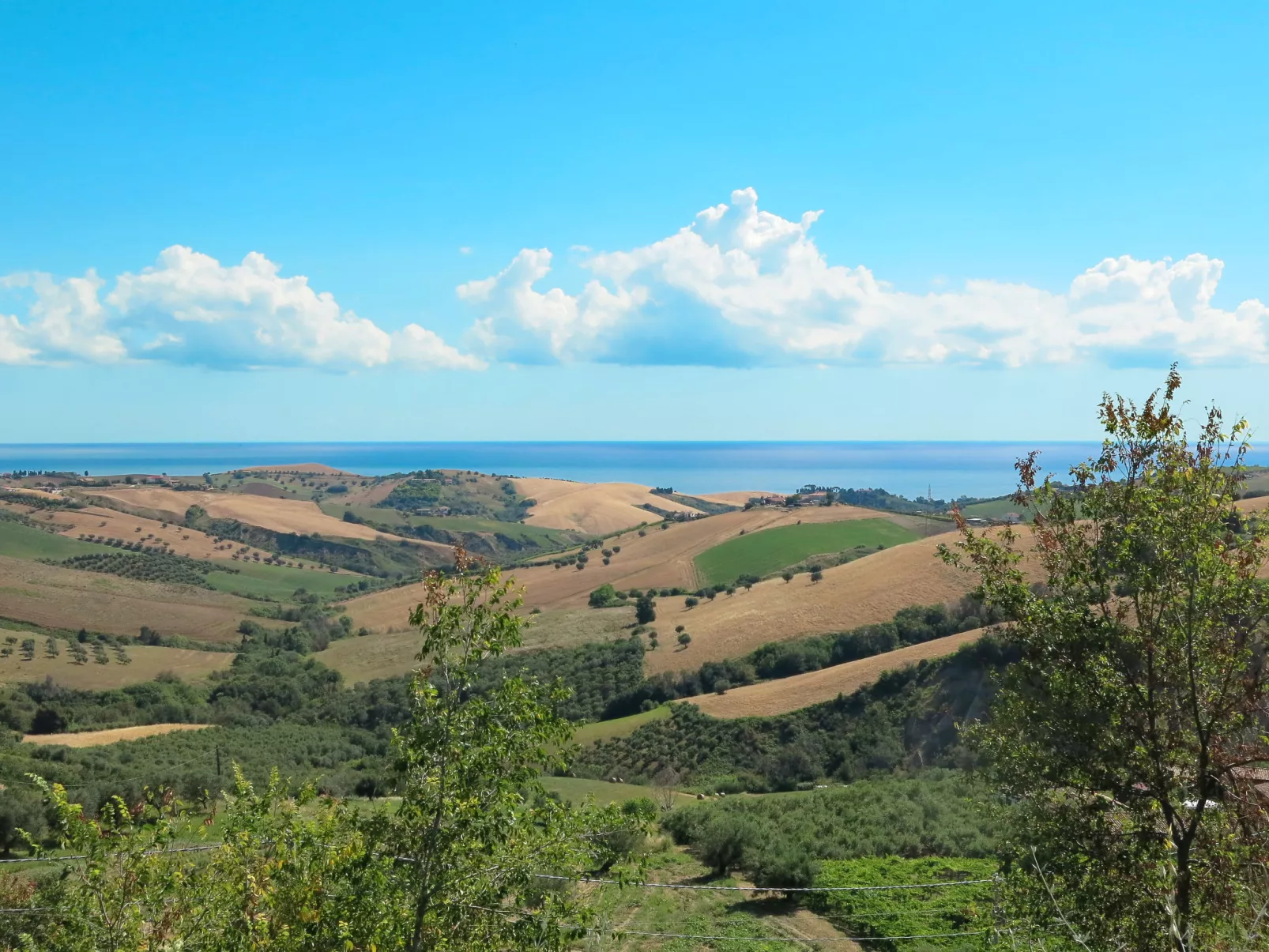 Mar di Roseto-Area