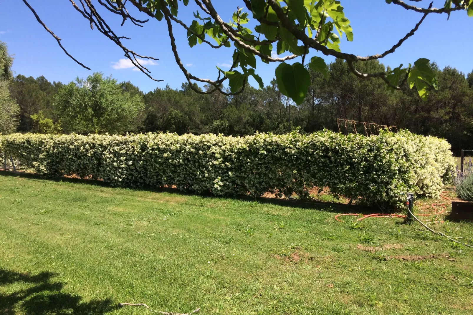Masia Can Roca de Dalt-Gardens summer