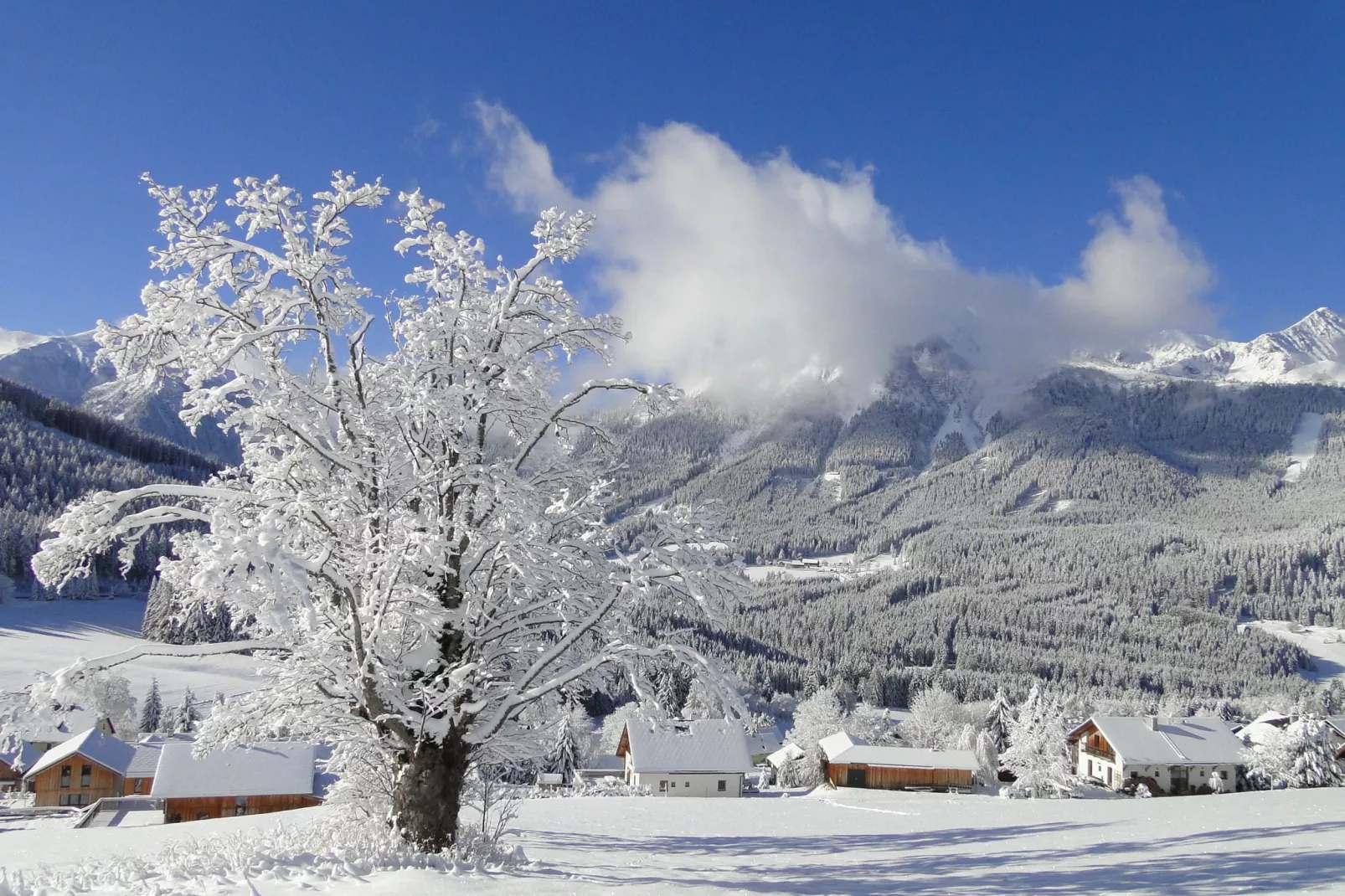 Chalet Eresma-View winter
