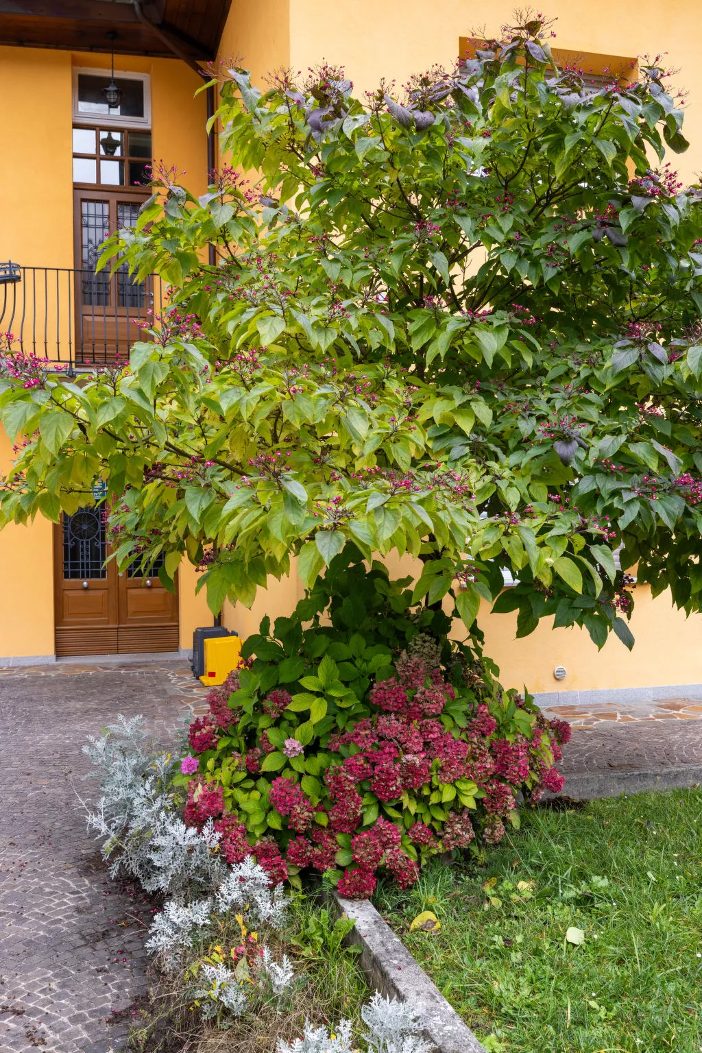 La Corleta di Sora-Outside