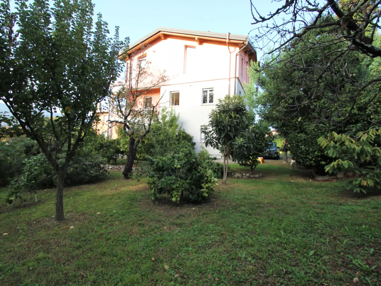 Il Pomelo-Outside