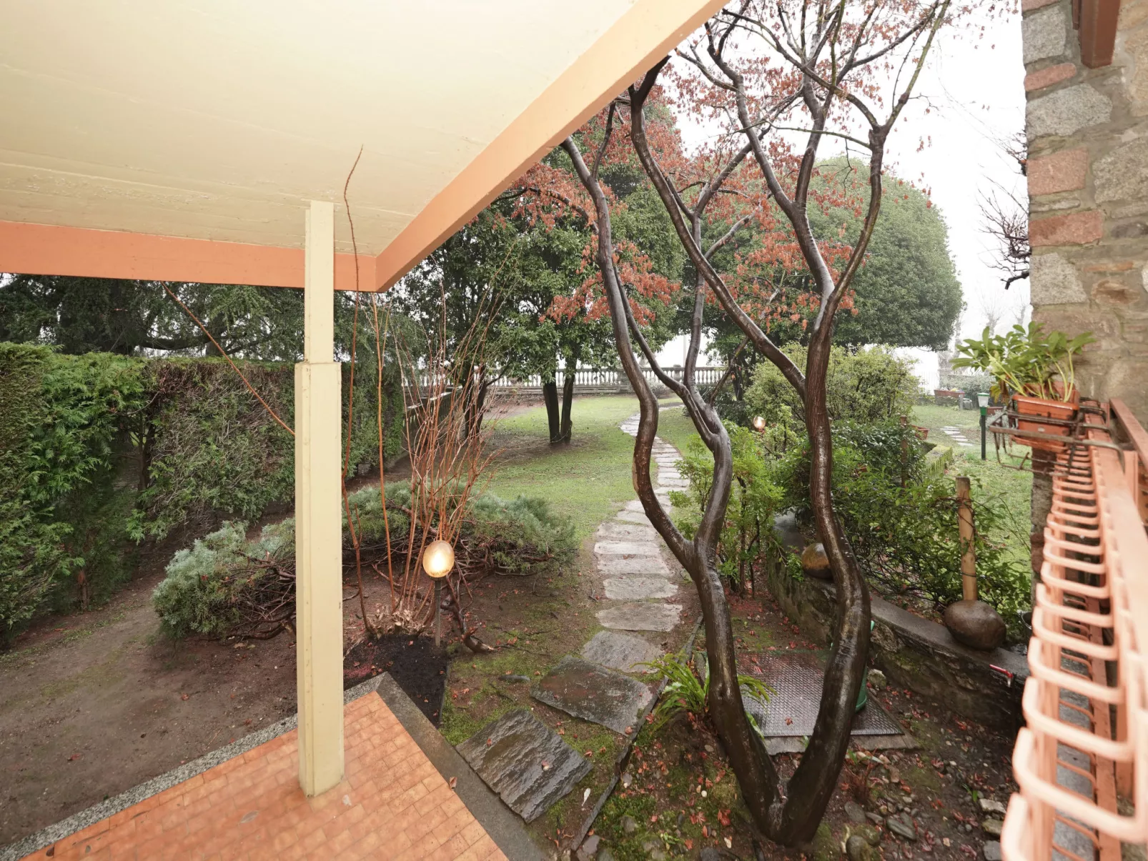  Azalea-Outside