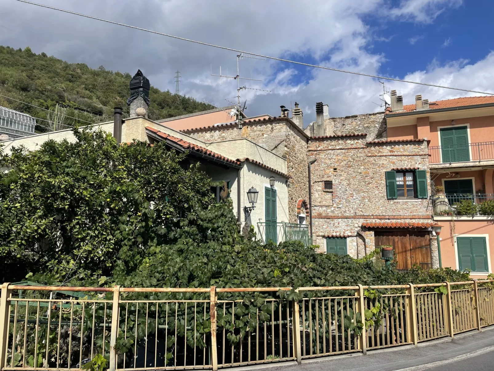 Casa del Pernambuco (PTL205)-Draußen