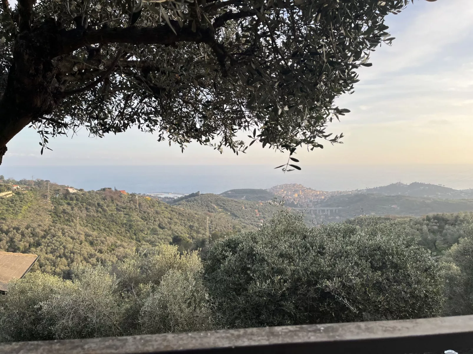 Casa della Mimosa-Outside