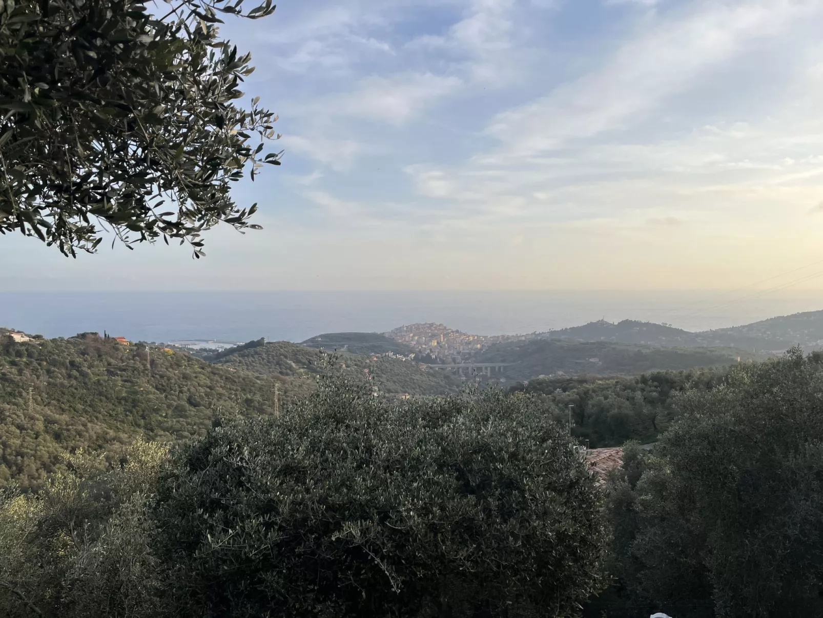 Casa della Mimosa-Outside