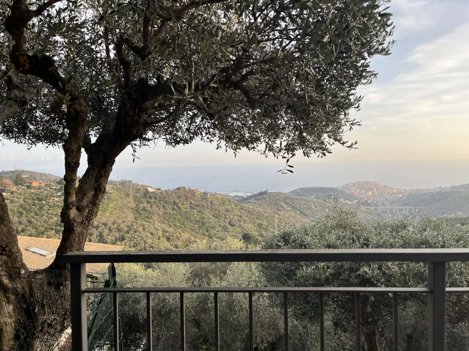 Casa della Mimosa-Outside