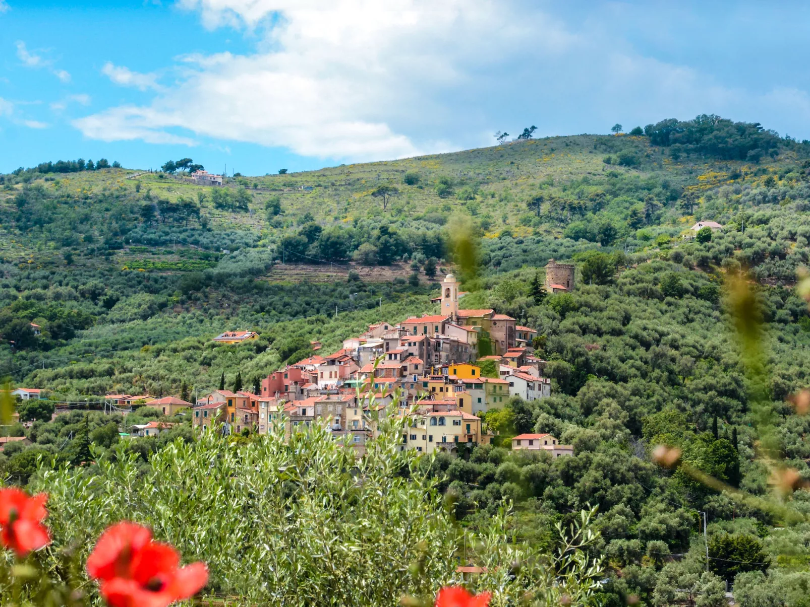 Casa Iose-Area
