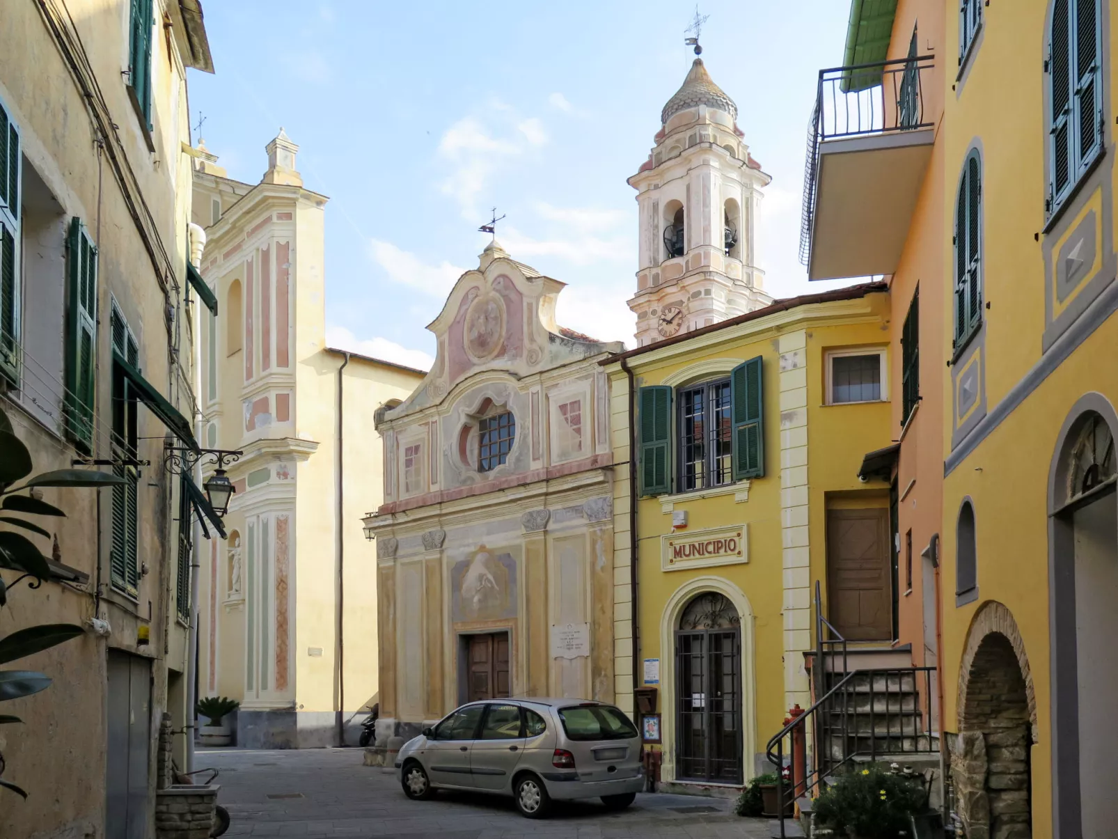 Ruscus-Area