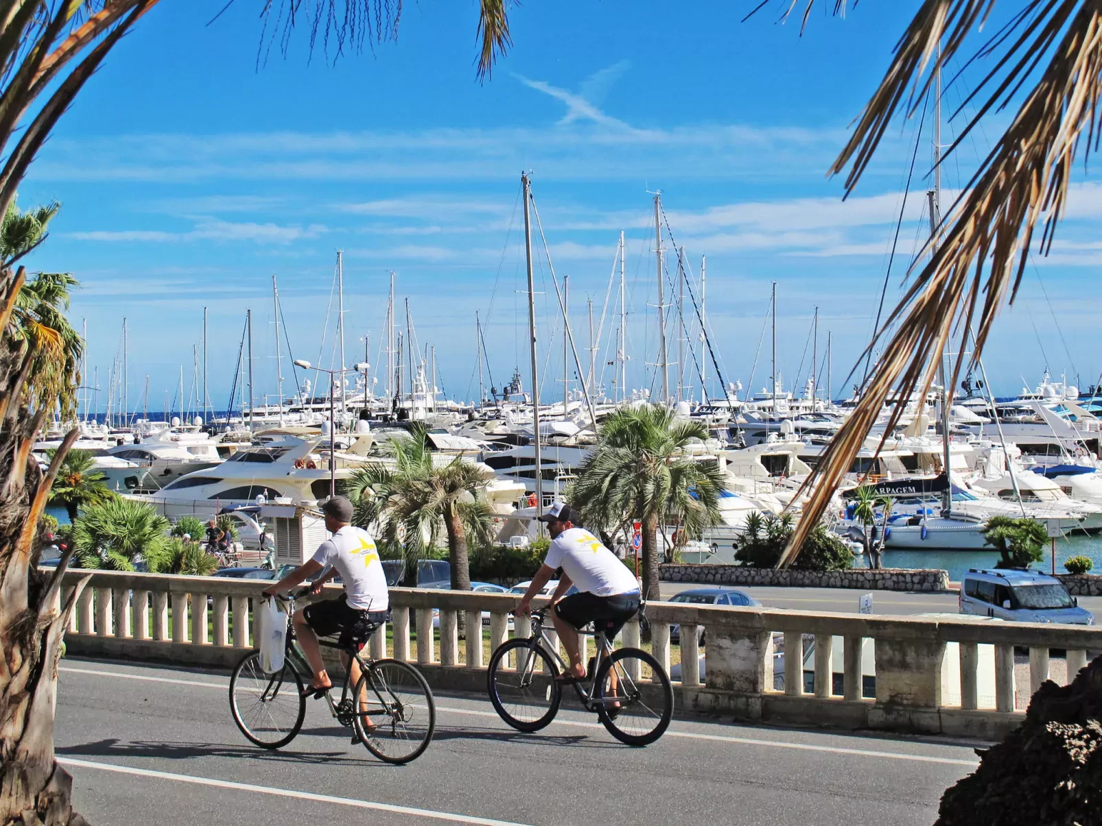 Mediterranee-Area