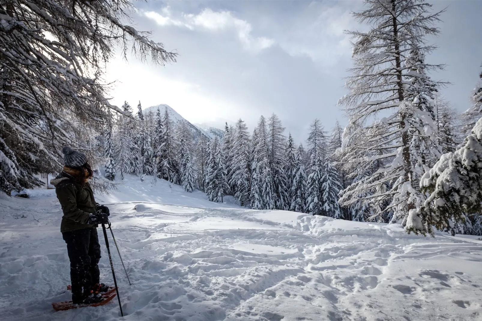 Harmonie-Area winter 1km