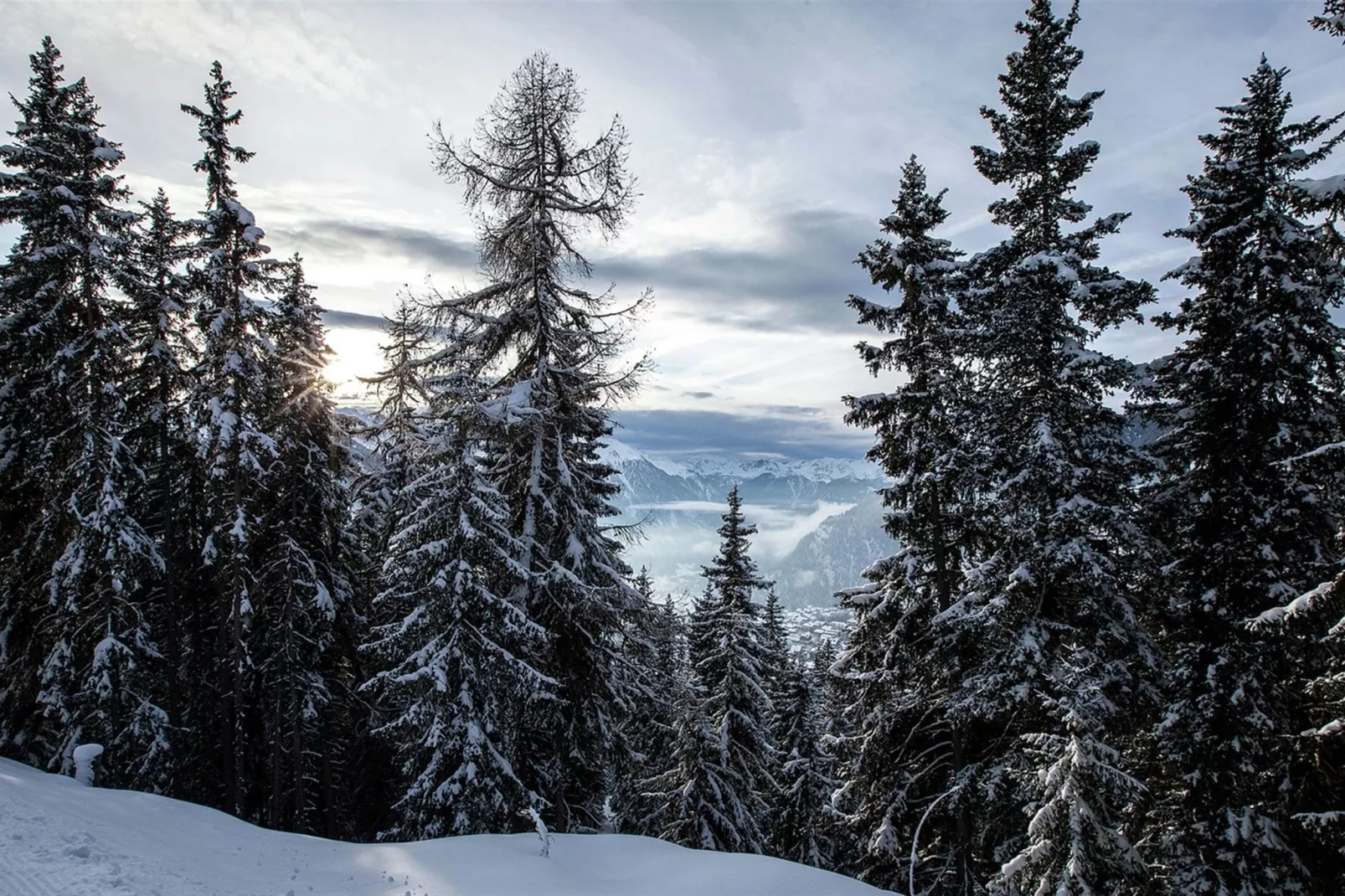 Harmonie-Area winter 1km