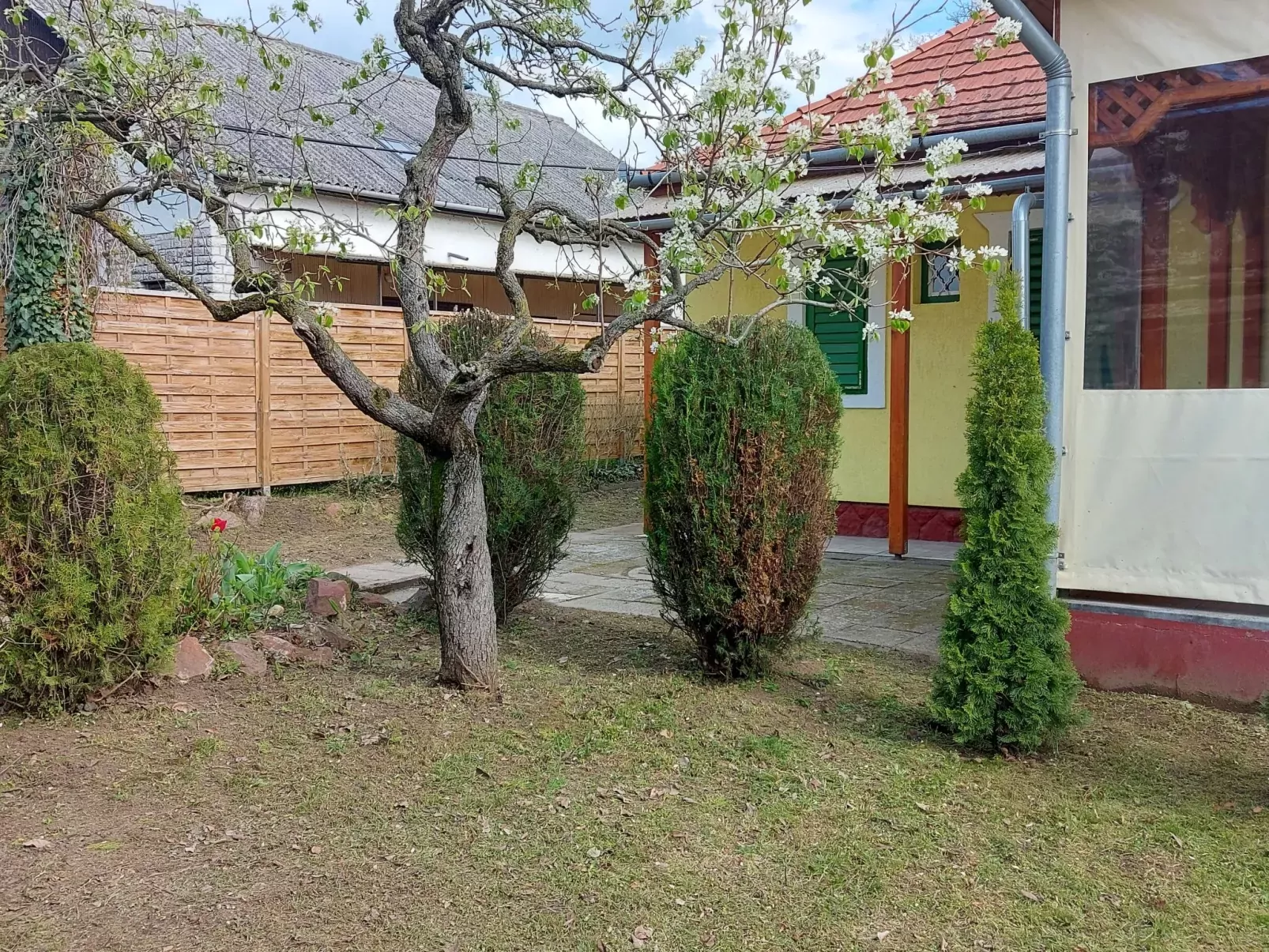 Stella-Outside